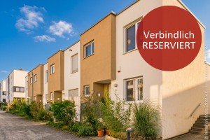 Hauptbild Dachterrasse, Garten & Woog-Nähe - modernes Zuhause in Darmstadt +RESERVIERT+